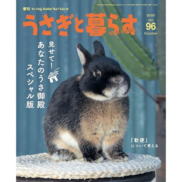 なんの変哲のないうさぎ 世にも不思議なウサギさん | P's KOBO 日記
