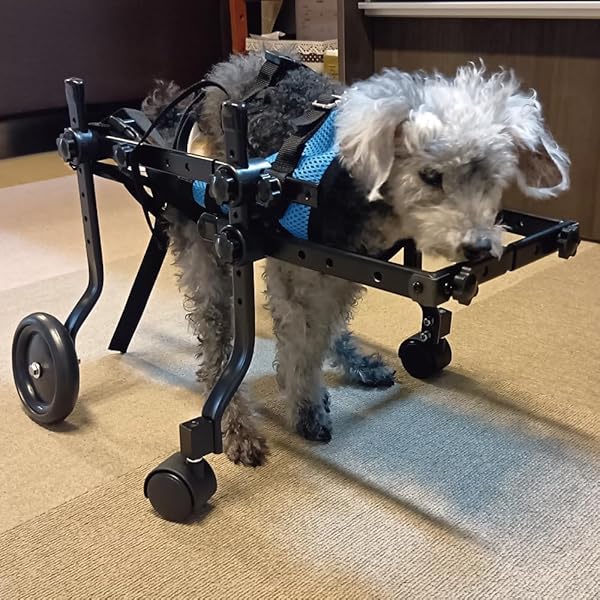 イタグレ4輪 リハビリ 食事補助 犬用車椅子 体制維持 犬の歩行器 ワン
