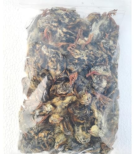 無薬】猛禽類・爬虫類などに！！北海道産 冷凍ウズラ 100羽【未処理