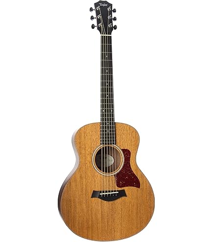Amazon | Taylor GS Mini-e Rosewood Plus NAT エレアコギター