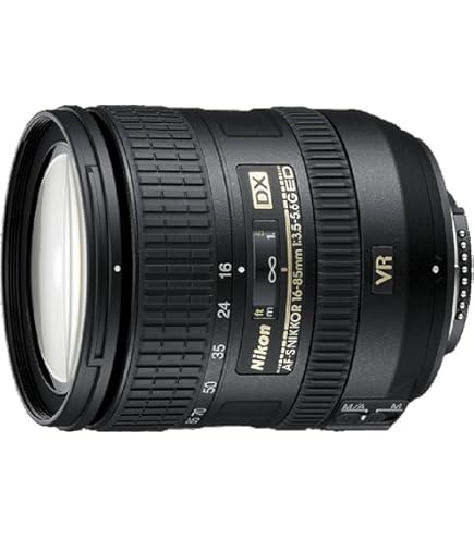 Amazon.com : Nikon AF-S DX NIKKOR 16-80mm f/2.8-4E ED Vibration