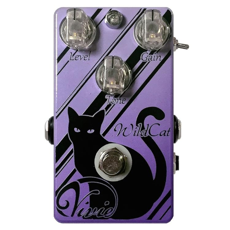 Vivie WildCat - クリーントーンとクランチの間を行き来する