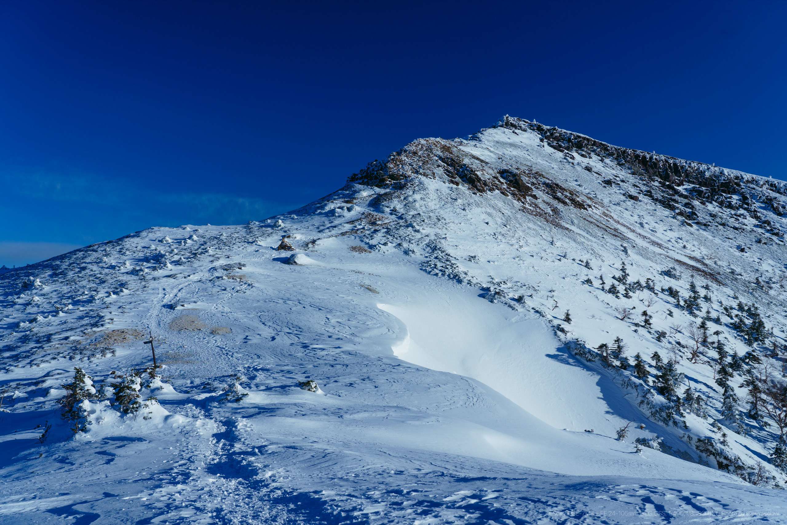CSP版 冠雪の山 英18枚日4枚 CSP版 冠雪