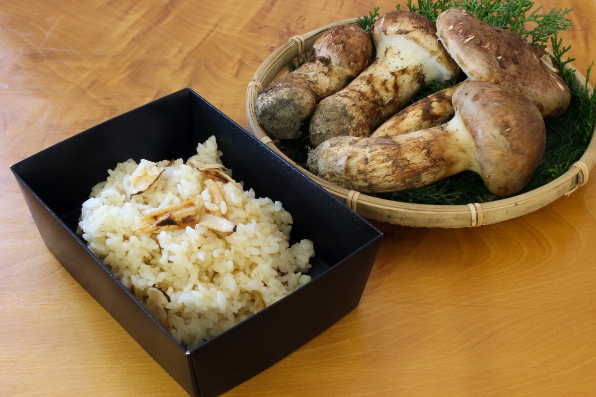 タカ＆ヨシ 南信州産 豊丘産 松茸 190g タカ＆ヨシ 南信州産 豊丘産