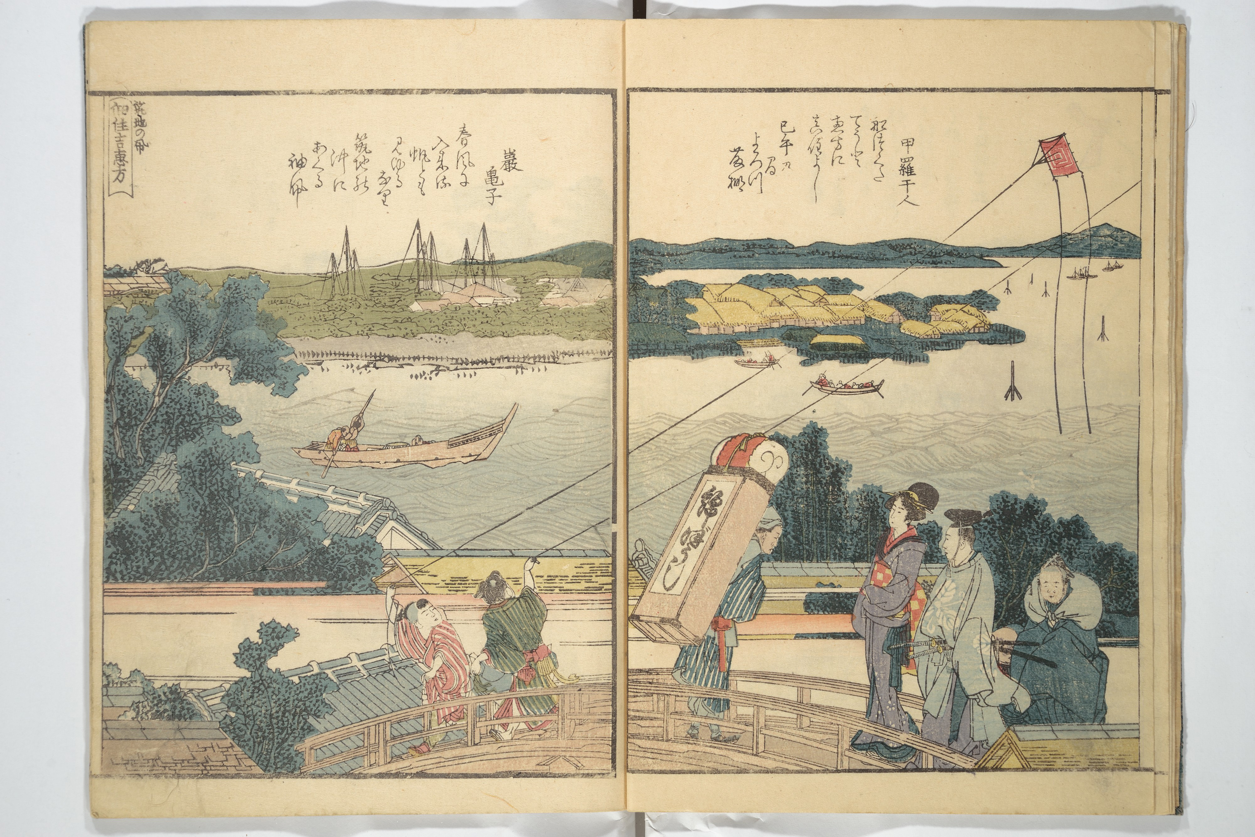 原画】ウミガメの旅立ち 原画】ウミガメの旅立ち 81M98IbiCWL.jpg
