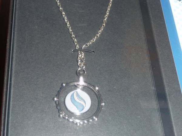 絶版2014 メガアブソル ネックレス xy カロス ポケモン アクセサリー