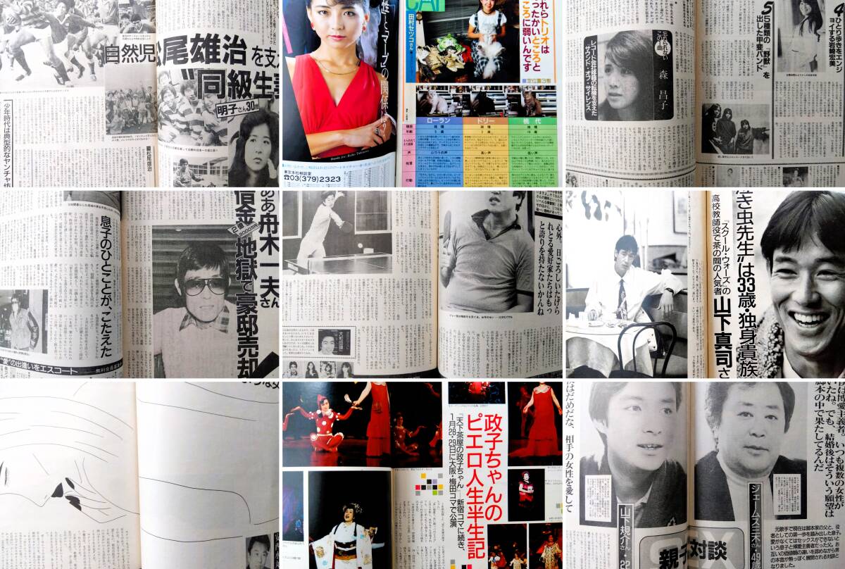 チクタクヒーカ] 松田正平作品 黄薔薇 水彩 色紙 額縁付き