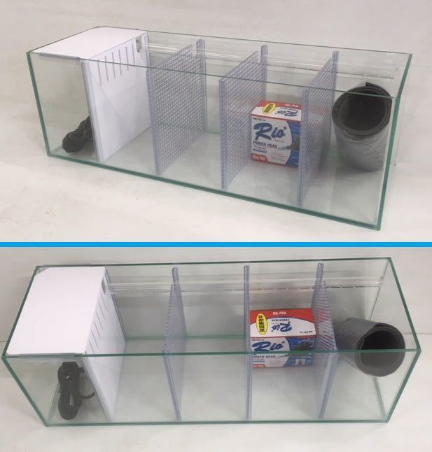 特注ガラス水槽 600×200×200 4室 ブラック ポンプ付き 未使用 【公式通販】