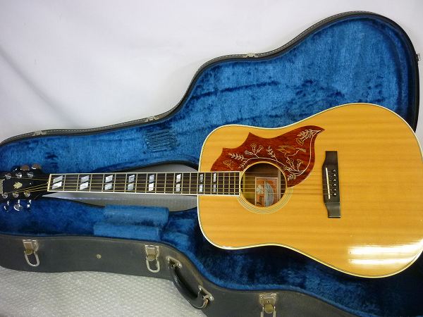 アコースティックギターburny