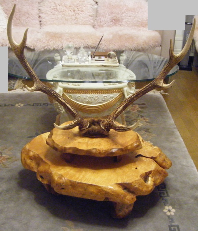 最高級 特大 鹿の角 木製 置き台 日本刀 刀掛け 一枚板 切り株 鹿角 刀