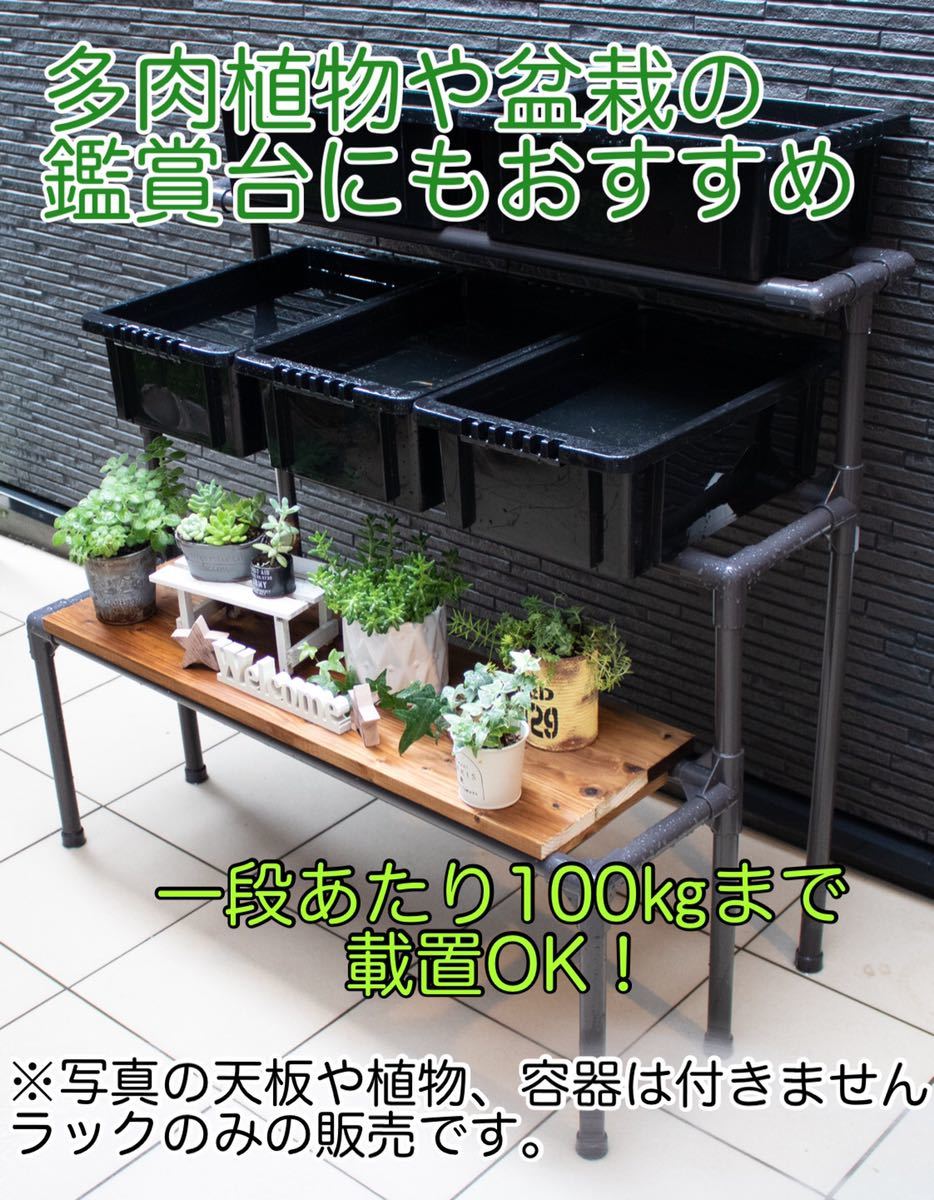 メダカ飼育ラック2段12個置 SALE☆メダカ飼育ラック白2段