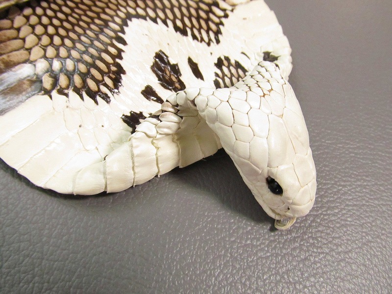 ホワイト 蛇の皮 未使用品｜ホワイト 蛇の皮 未使用品 2025