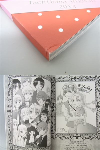 学園アリス 完結記念本 Amazon.co.jp: 樋口橘 学園アリス 完結記念本