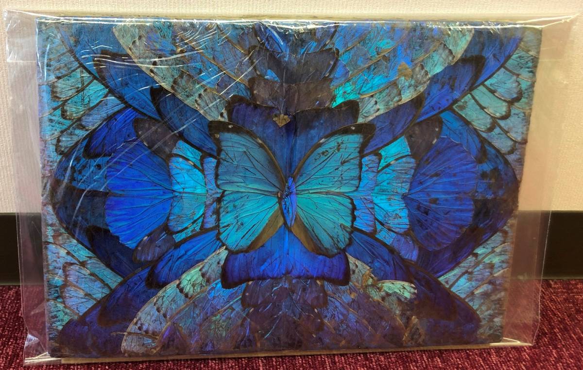 蝶絵画蝶の羽羽根細工バタフライアート