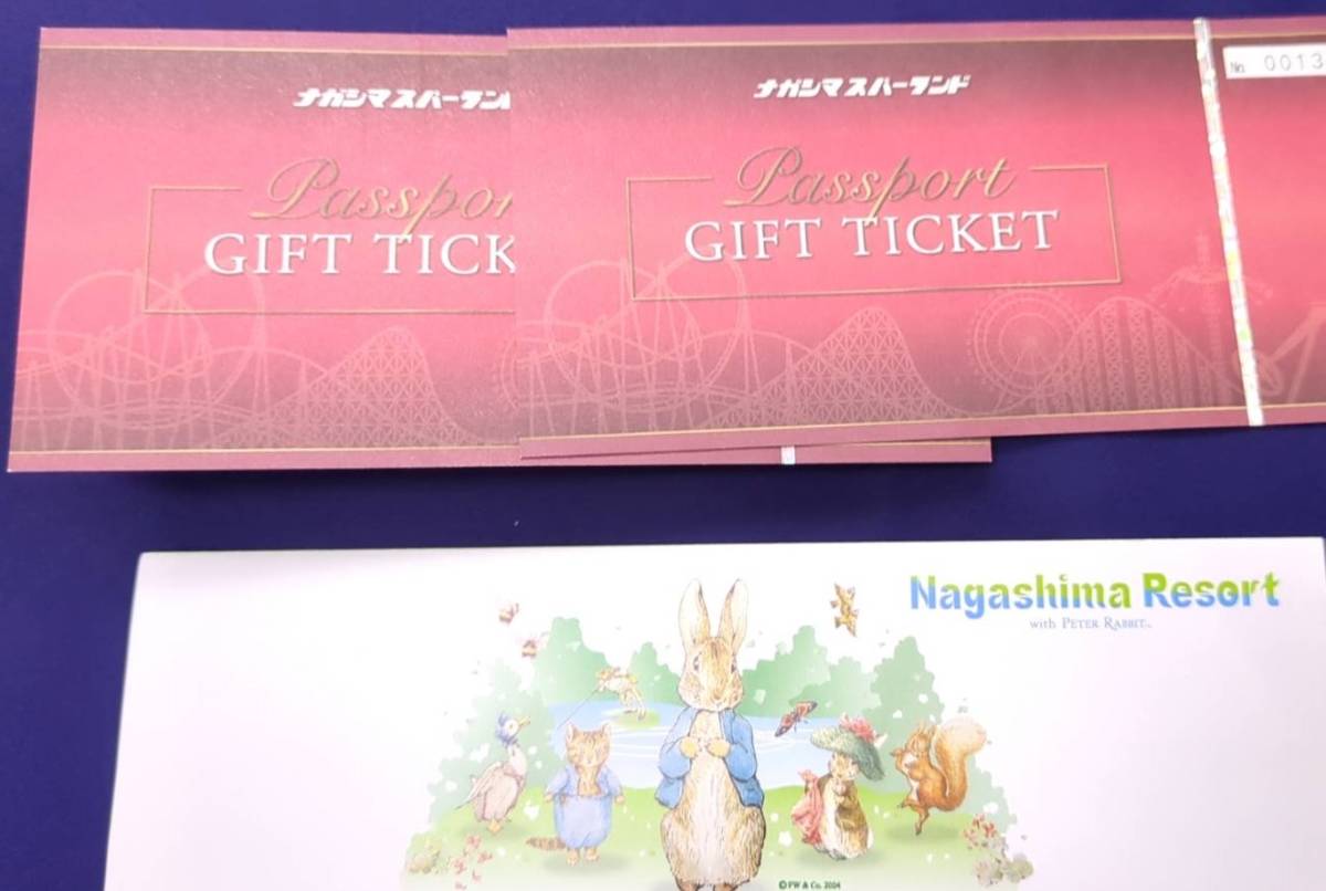 未使用☆東京ディズニーランド☆記念パスポート☆額入り