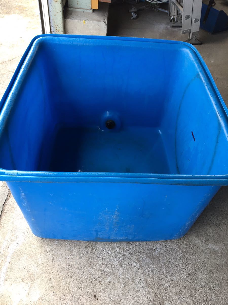 大型プラスチック水槽 青