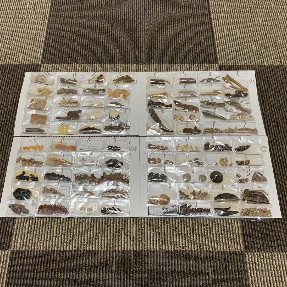 生薬 標本 一覧 80種 中井廣進堂 漢方 薬膳 豊富な，大人気