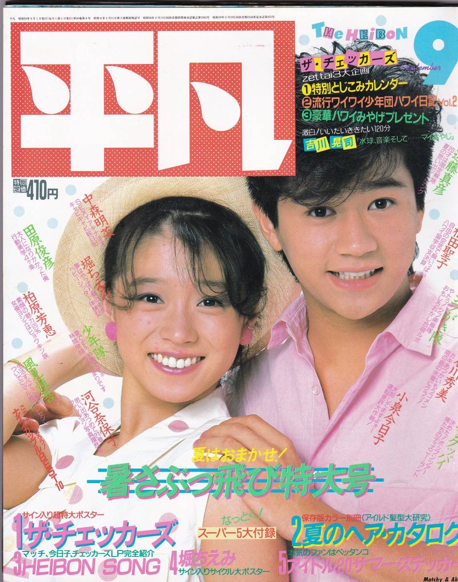 ☆中森明菜☆BIGポスター C☆ケン企画☆美品 中森明菜☆BIGポスター