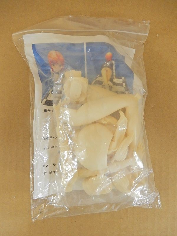 未組立】G-DOME Rio スーパーブラックジャック レジンキャスト