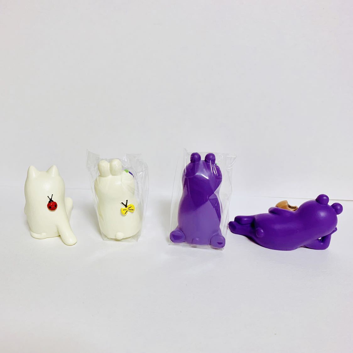 ♡コンコンブル あしかがフラワーパーク限定 6点セット ネコ クマ