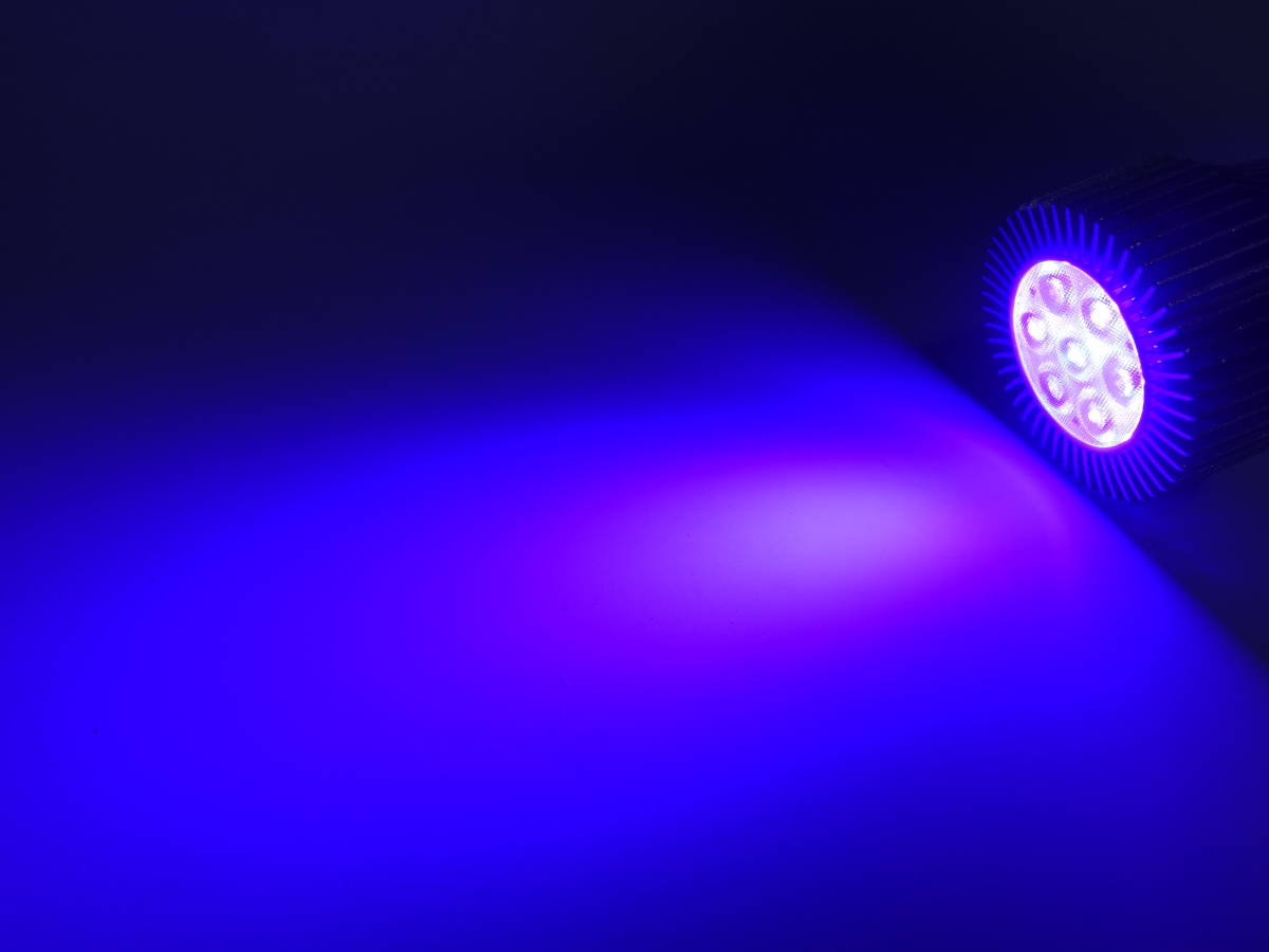 バイタルウェーブ2 バイオレット Vital Wave バイタルウェーブ 9W