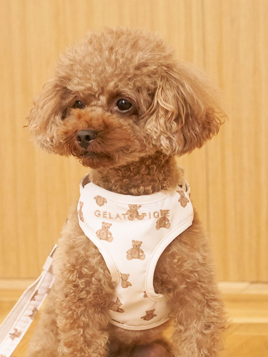 CAT&DOG】背中あきハーネス(ハーネス・リード)｜ルームウェア