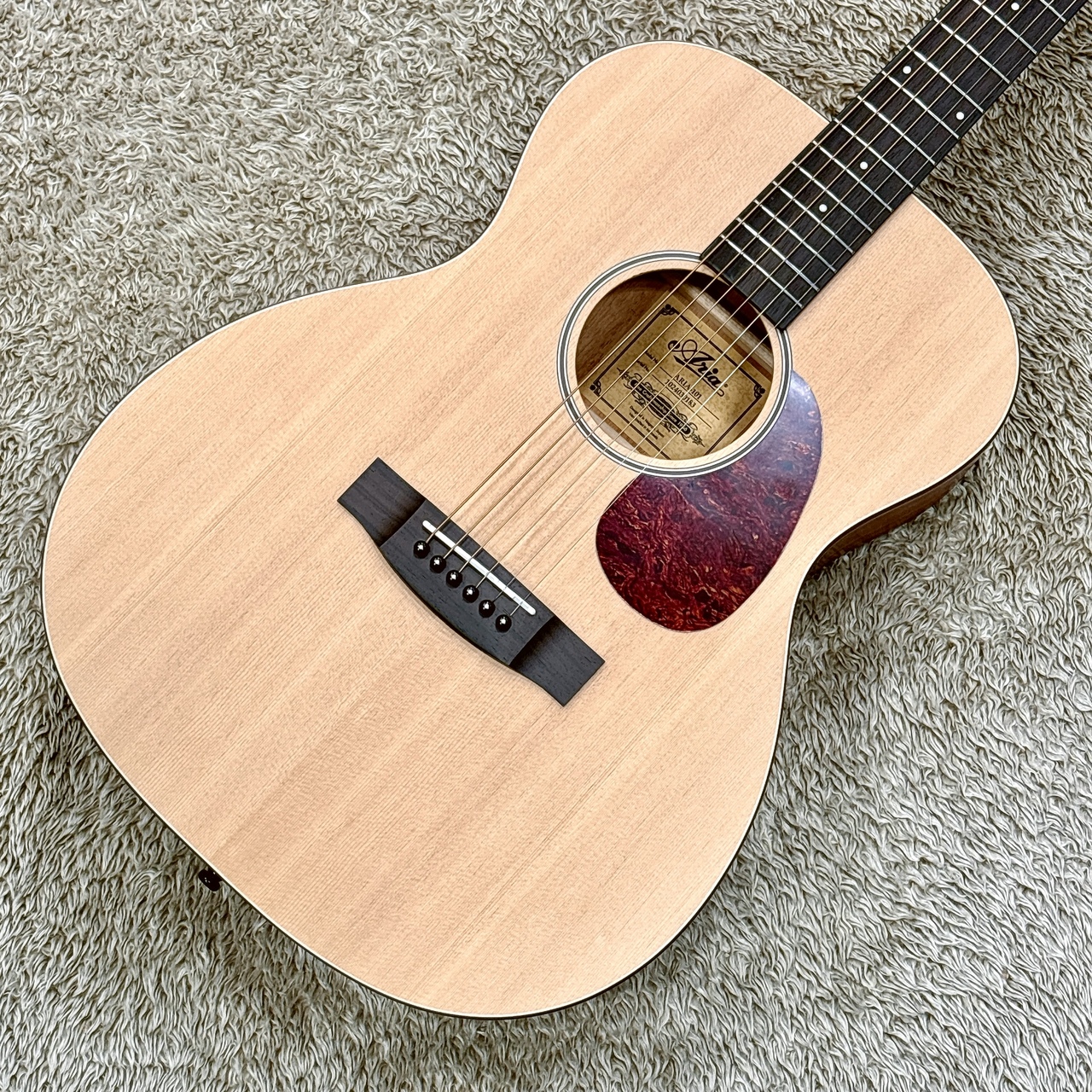 ARIA Aria-101 / MTN (ナチュラルマット)（新品）【楽器検索デジマート】