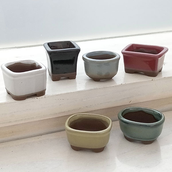 美芸鉢 懸崖鉢 和鉢 ミニ鉢 2点セット 【公式通販】
