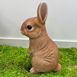 園芸ネット本店｜WooBia：右上向きハリネズミ（H19111-1） の通販【公式】