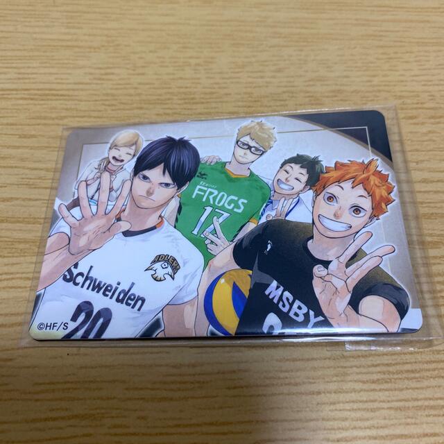 ハイキュー布くるみ缶バッジ烏野日向影山月島山口谷地
