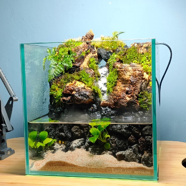 アクアテラリウム完成品】渓流アクアリウム＋テラリウム30cmキューブ