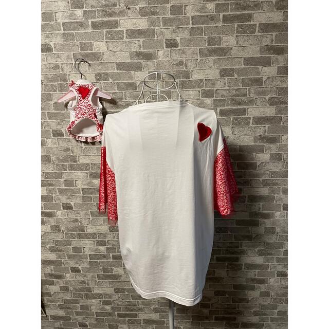 サーカスサーカス♪Toy Bearネオプレーントートキャリー♪circus♪美品
