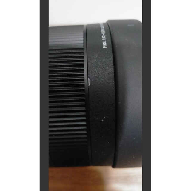 SIGMA 100-400mm F5-6.3 ソニーEマウント