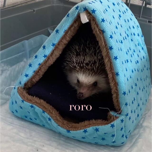ハリネズミ寝袋ソファーB