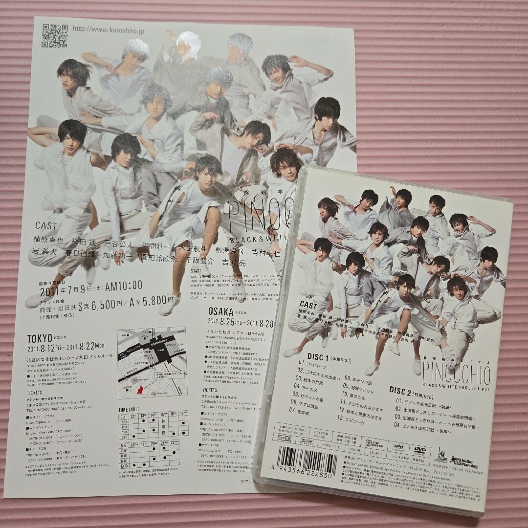 冒険絵本 ピノキオ DVD パンフレット セット アミューズ
