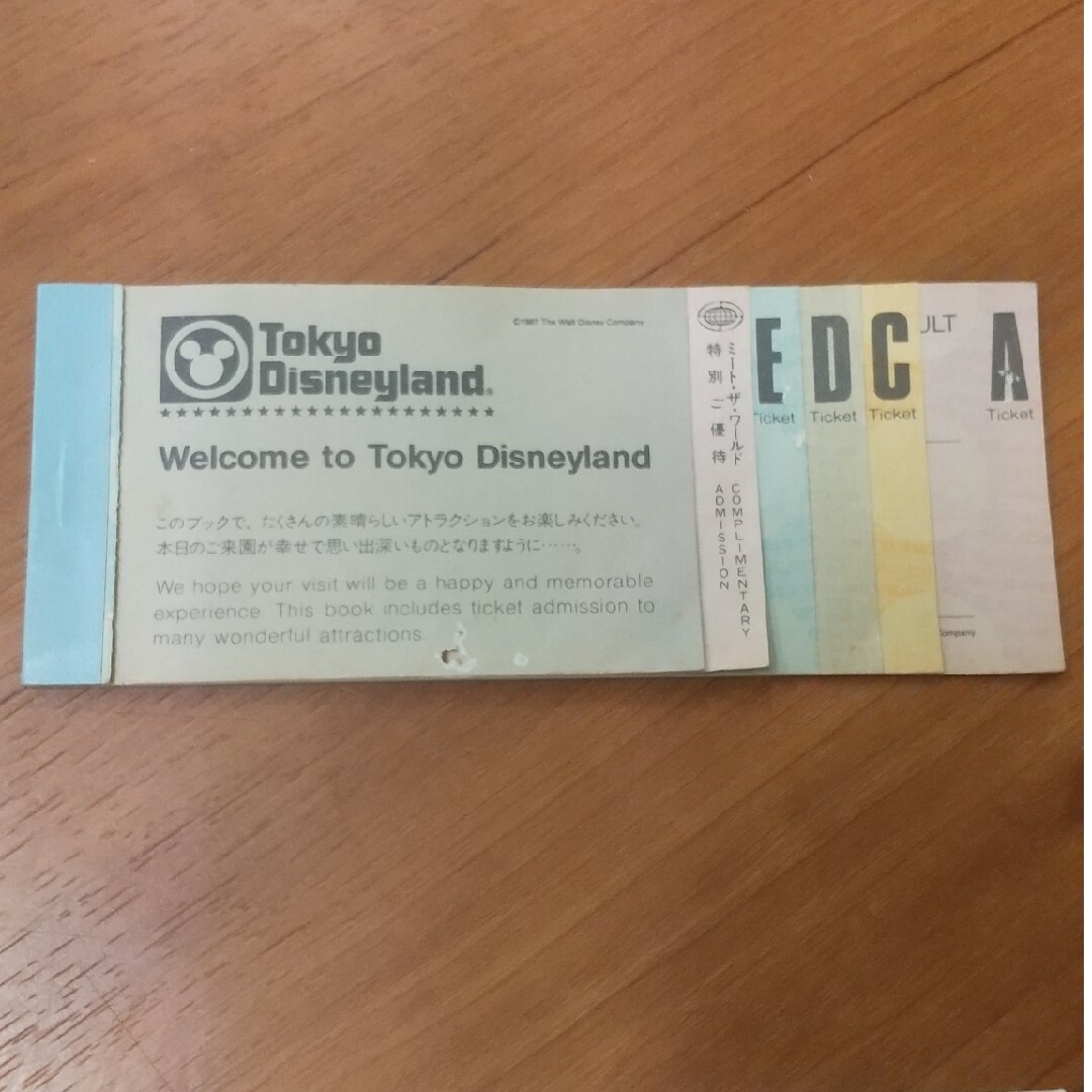 Disney - 東京ディズニーランド ビッグ10チケットブック一冊 使用済み