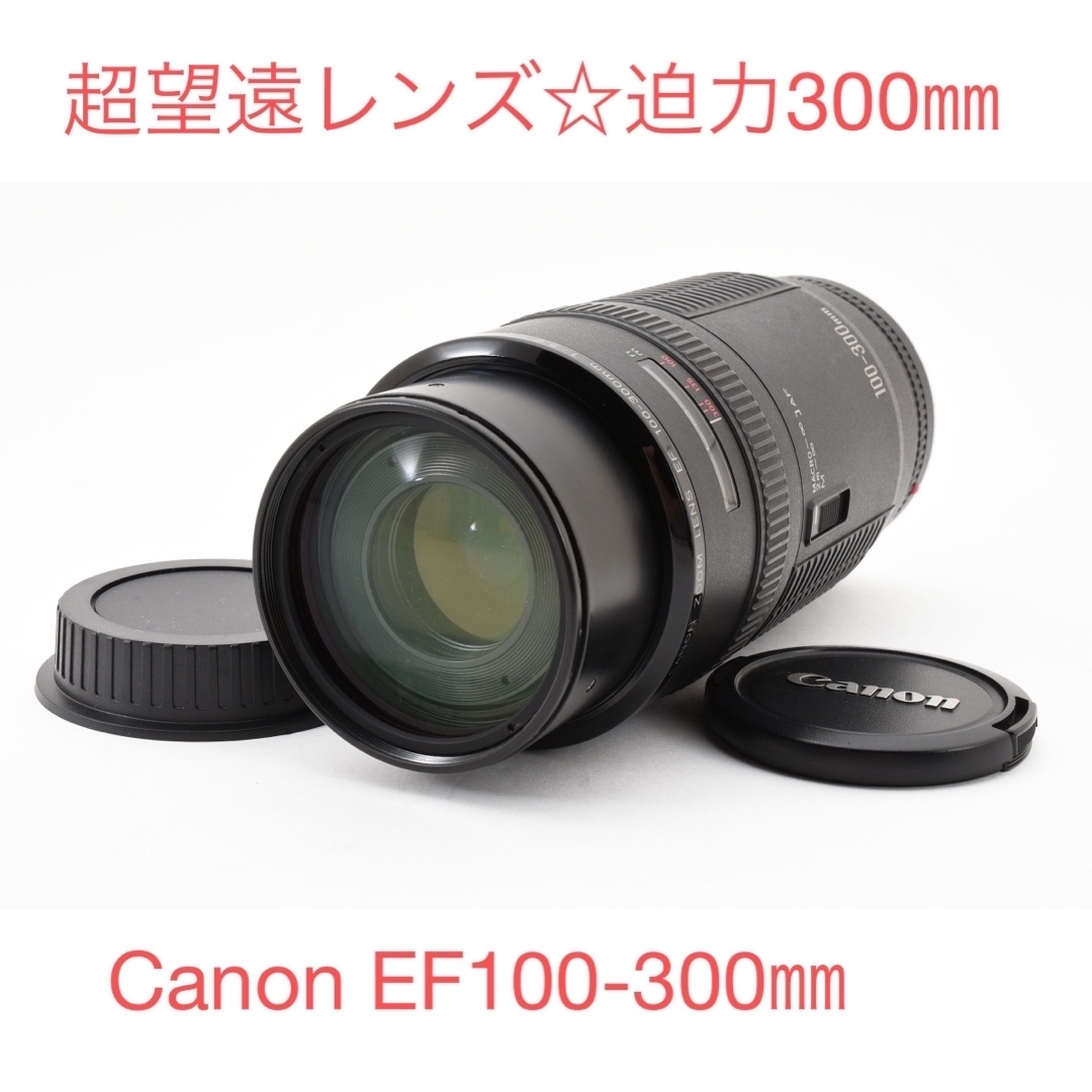 デジタル一眼レフカメラ Canon EF100-300㎜超望遠レンズセット 【公式