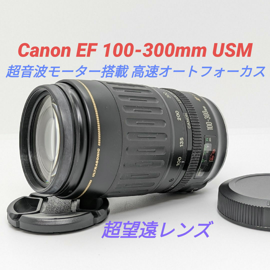 9月17日特別価格【超望遠レンズ】Canon EF 100-300mm USM 9月17日限定