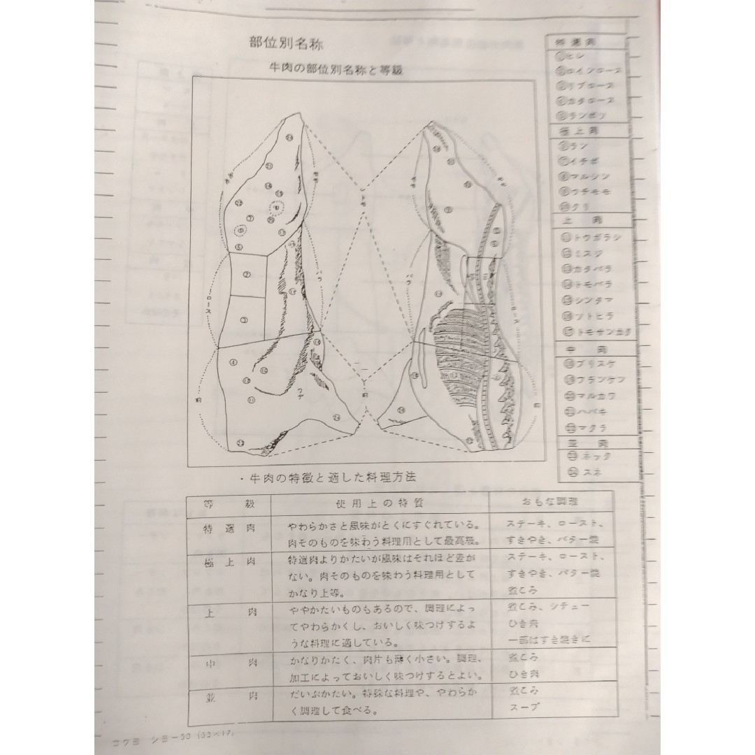 精肉商品づくり、商品知識マニュアル