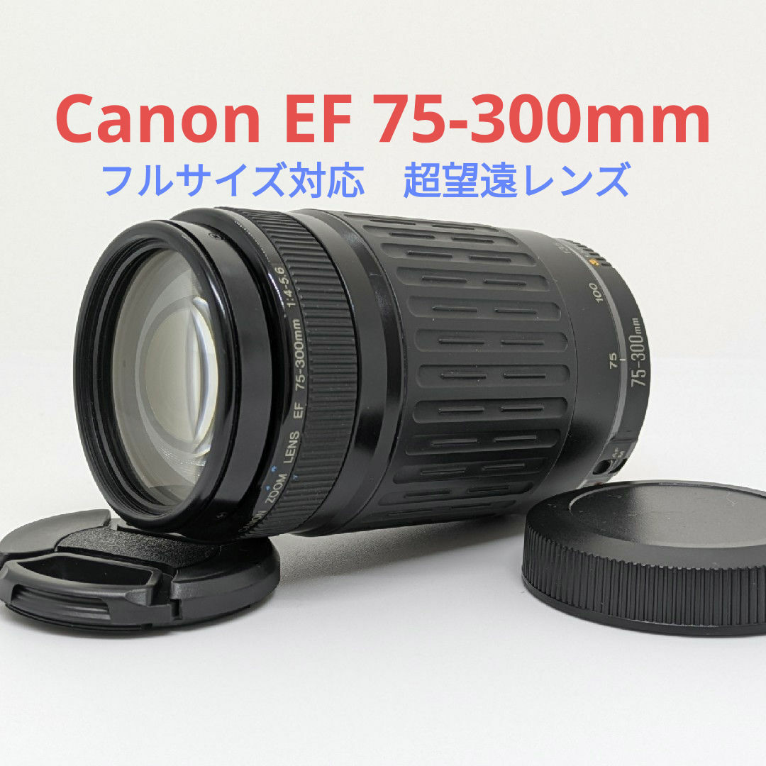 11月9日限定販売♪【超望遠レンズ】Canon EF 75-300mm