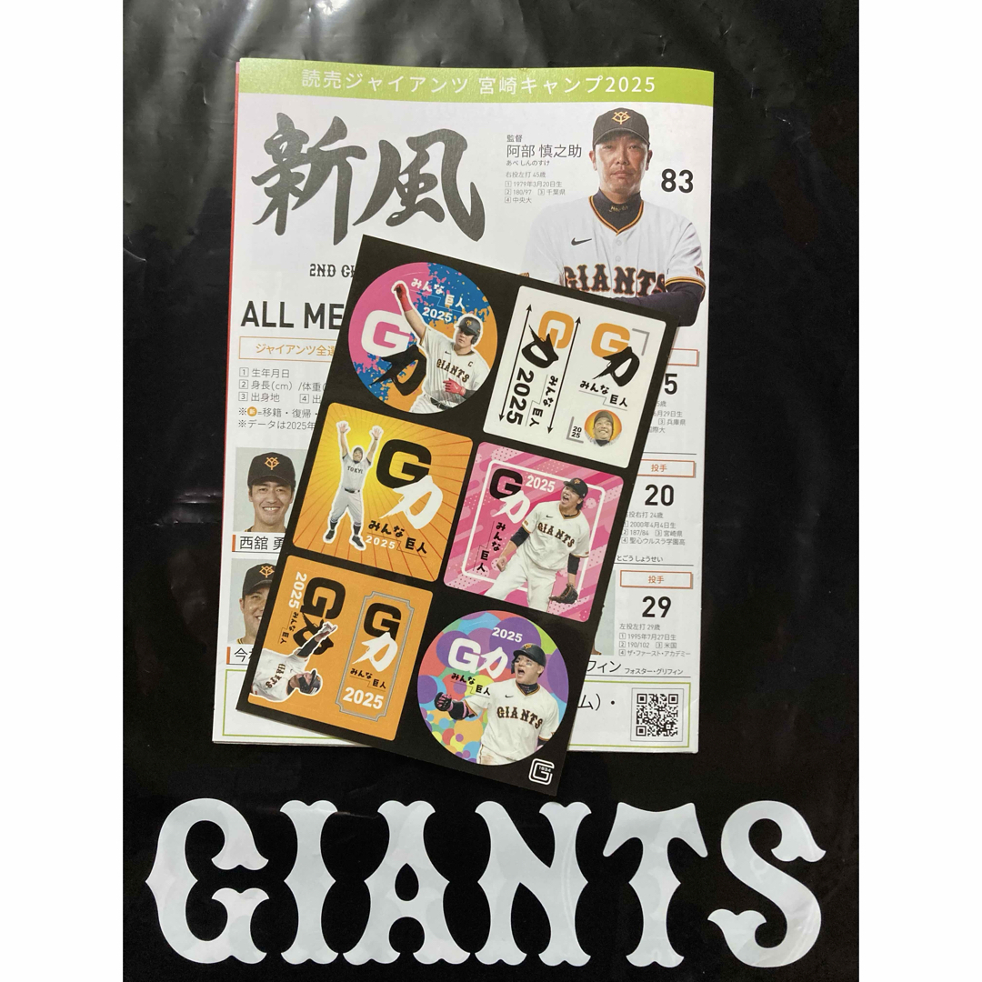 読売ジャイアンツ 大勢 直筆サイン色紙 読売ジャイアンツ 大勢 サイン