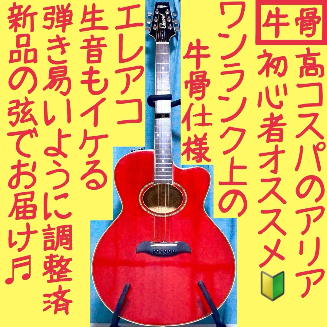 牛骨☆エレアコ】ARIA！ELECODE！エレコード【弾き易く調整☆新品の弦】