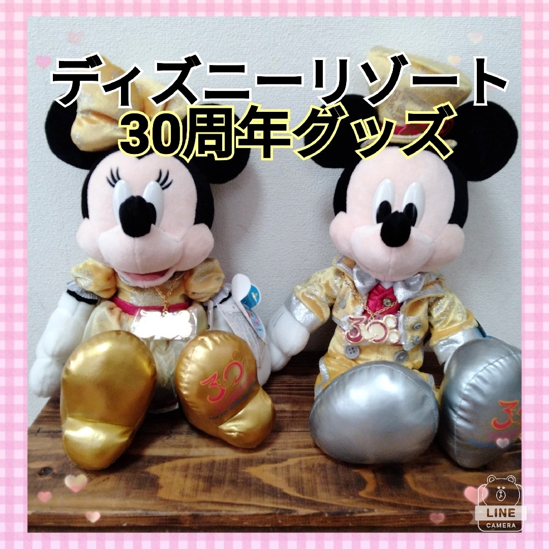 レア】ディズニーリゾート30周年記念 ぬいぐるみ ミッキー ミニー 大きい