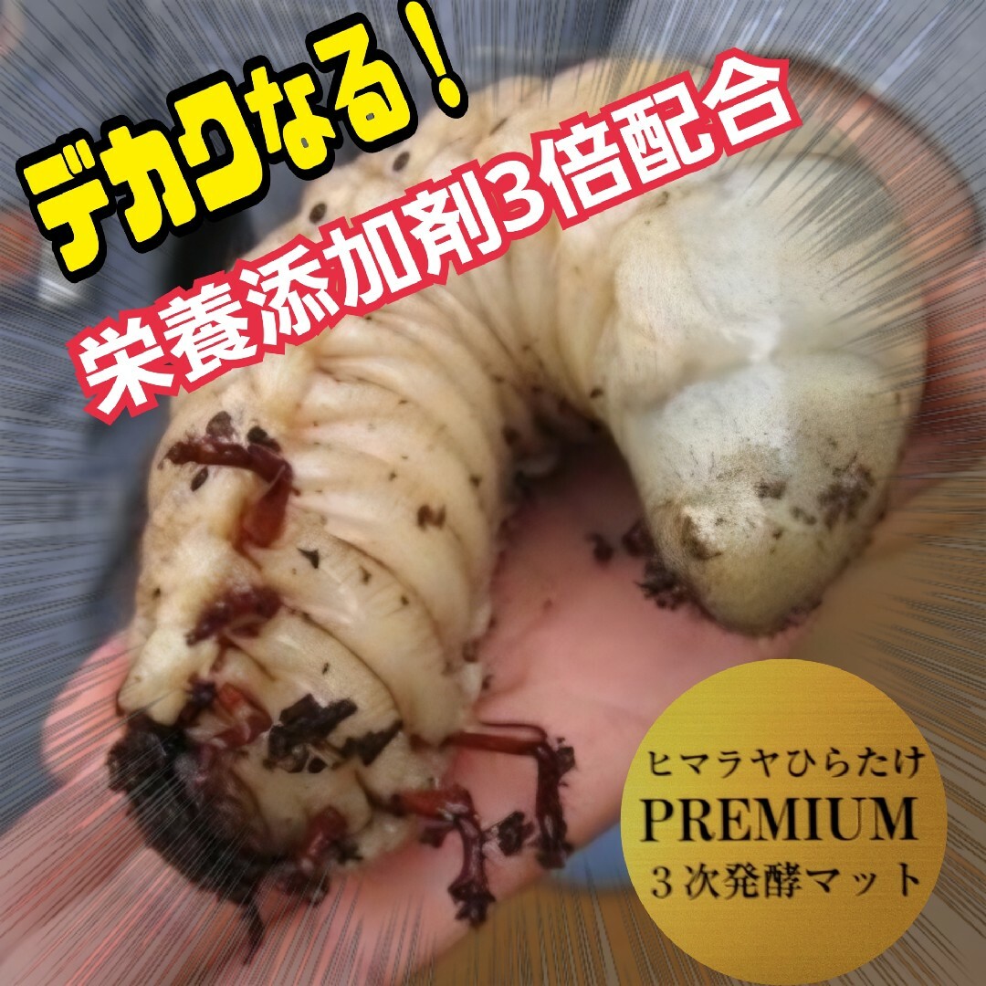 幼虫が巨大化！プレミアム3次発酵カブトムシマット【50リットル】産卵