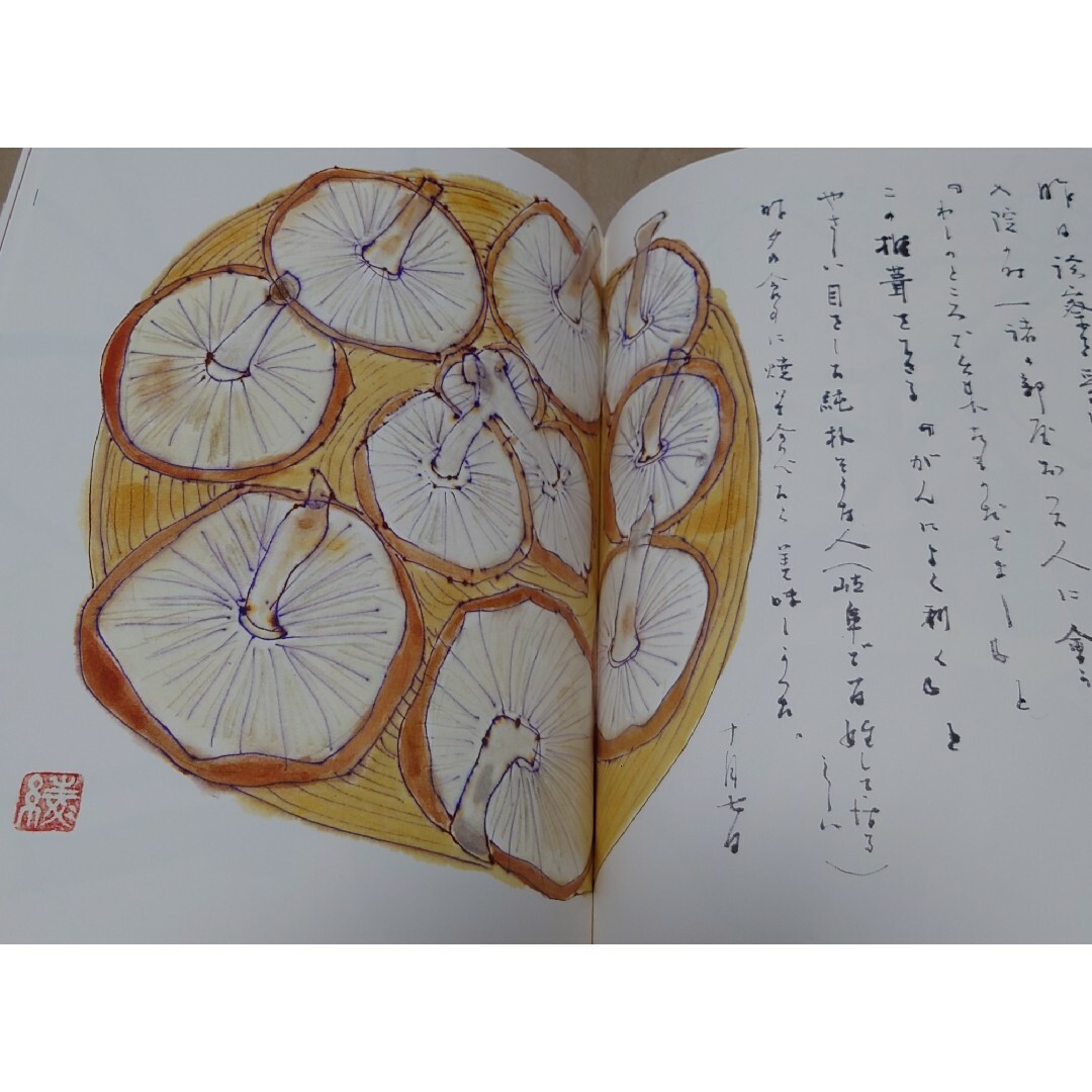 宮脇綾子 はりえ日記 全3巻