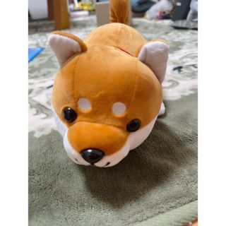 柴犬 ぬいぐるみ 赤い首輪付き 約26cmの通販 by youko5221's shop｜ラクマ