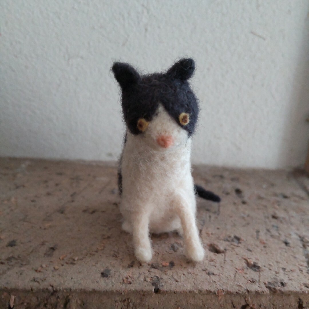 フェルト作家poppetさん 少年と猫