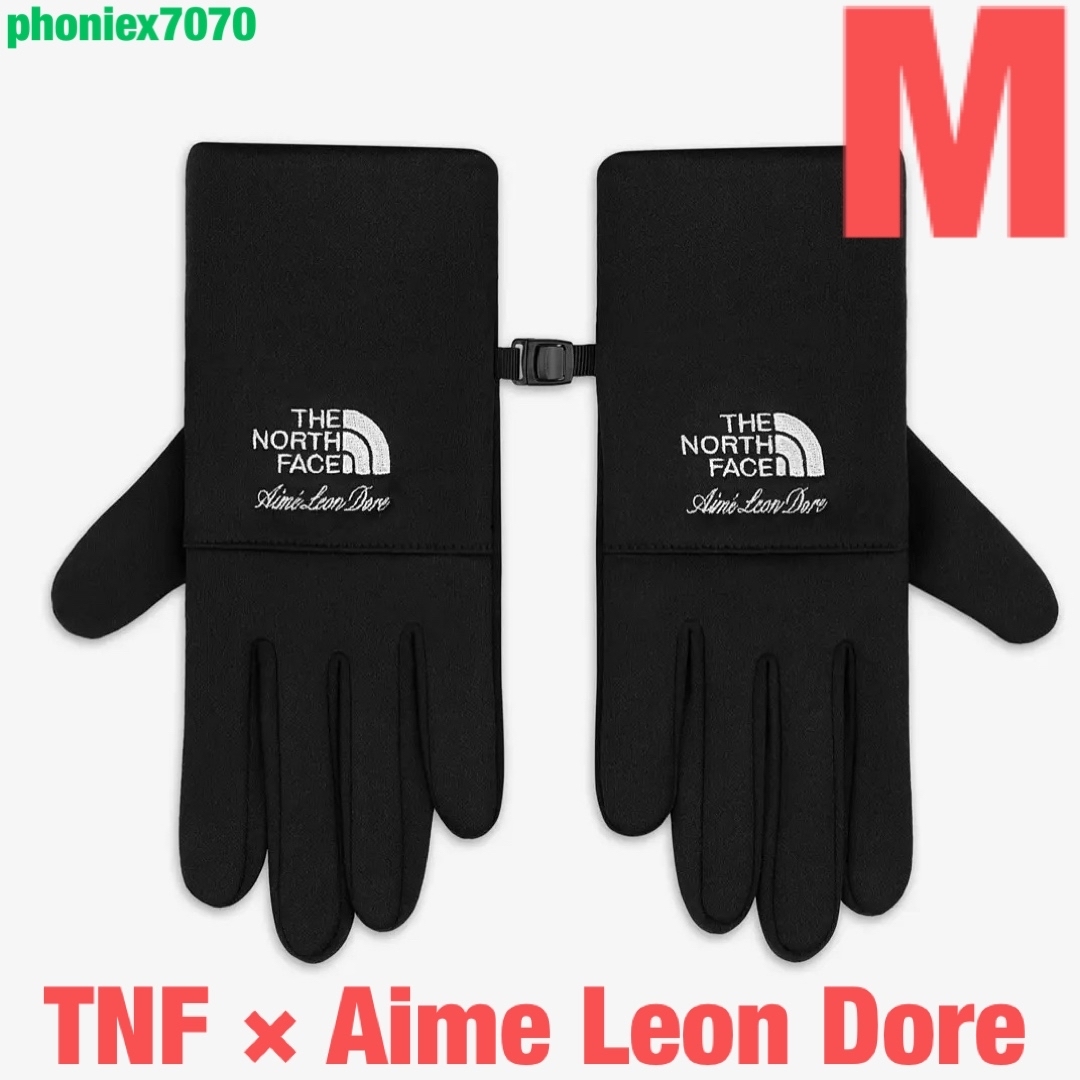 TNF × Aime Leon Dore】Etip Glove【M】イーチップ