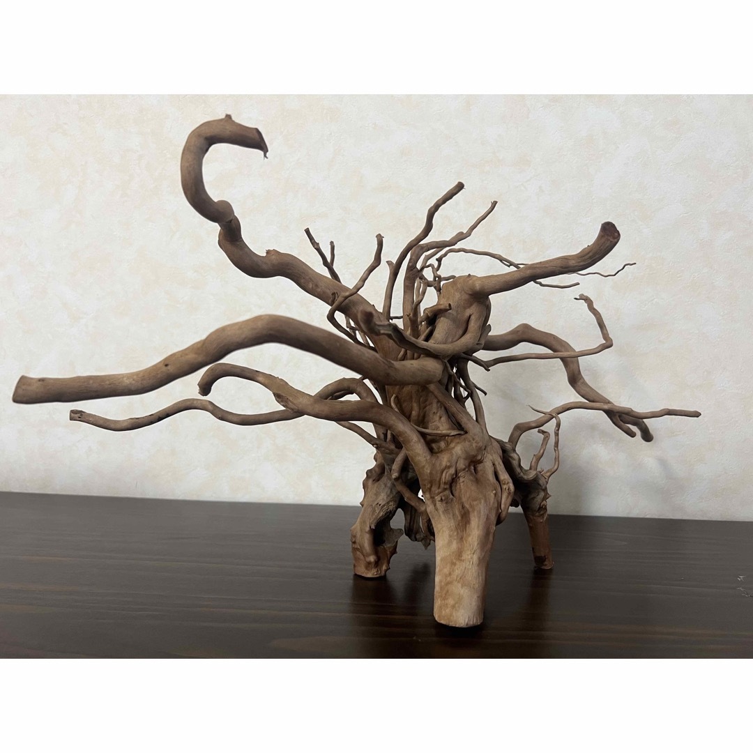 22321 ブランチウッド 流木 アクアリウム 沈水確認済