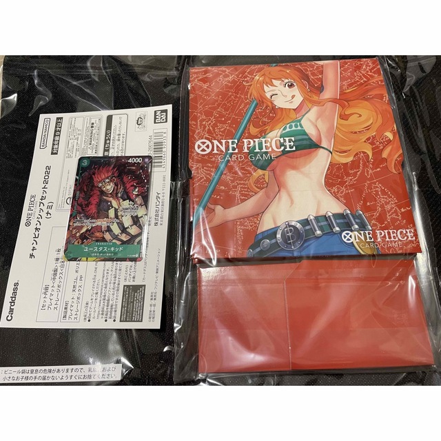 チャンピオンシップセット2022 ヤマト ナミ キッド